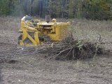 Clearing some brush