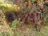 Farmall F-14 as found